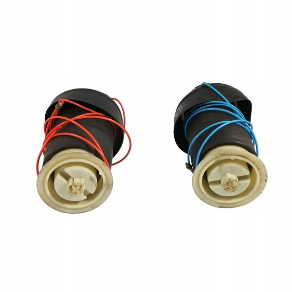 Conjunto de Sacos de Suspensão Traseira BMW X5 E70 6790078 image 8