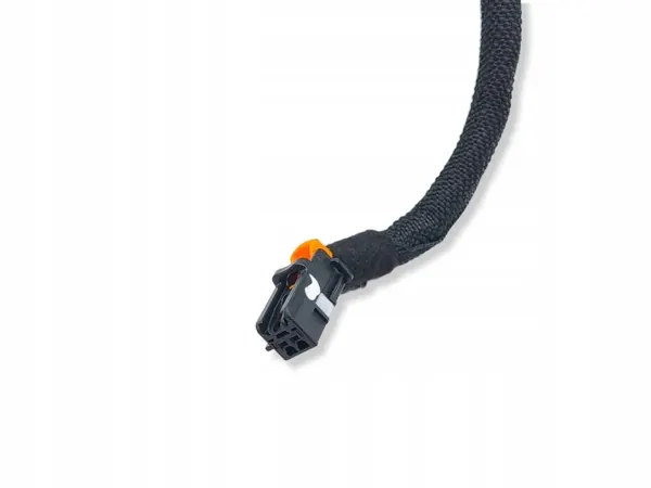 Cableado de maletero Citroen C4 III e-C4 OEM 9841029480 image 3