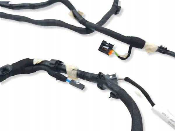Cableado de maletero Citroen C4 III e-C4 OEM 9841029480 image 4