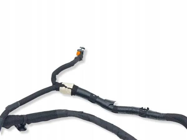 Cableado de maletero Citroen C4 III e-C4 OEM 9841029480 image 5
