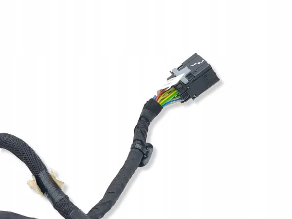 Cableado de maletero Citroen C4 III e-C4 OEM 9841029480 image 7