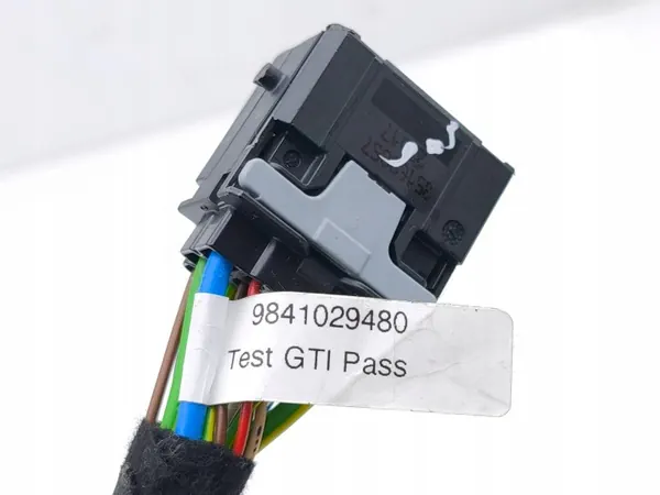 Cableado de maletero Citroen C4 III e-C4 OEM 9841029480 image 8