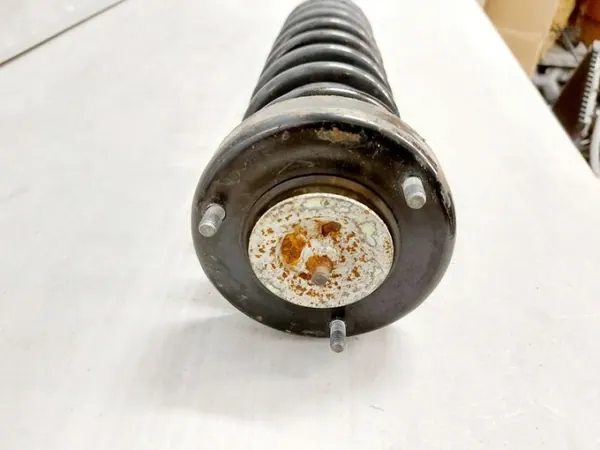BMW OEM 1093646 Amortiguador Derecho Trasero & Muelle image 3
