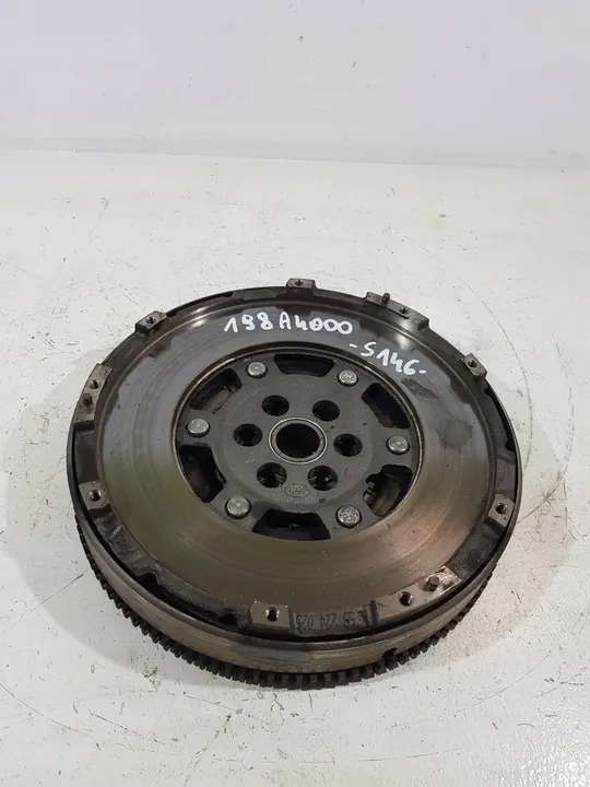 Kaksoismassaväkä LUK 55224025 image 2