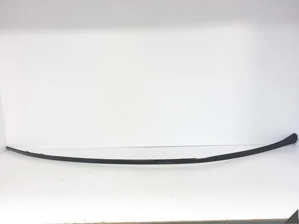 OEM 66510286 Moldura Techo Derecha Mercedes Clase C image 2