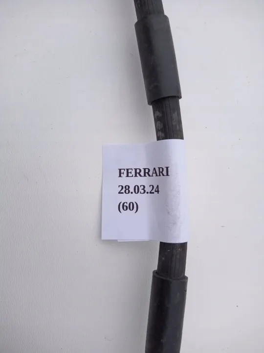 Ferrari Remslang OEM 210417 - Gebruikt image 4