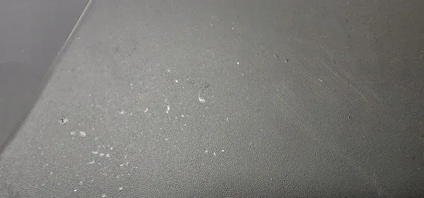 Takapuskuri Renault Megane II 2002-2006 OEM image 8