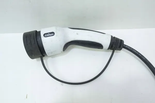 OEM C00061175 13A 250V Maxus laadkabel image 3