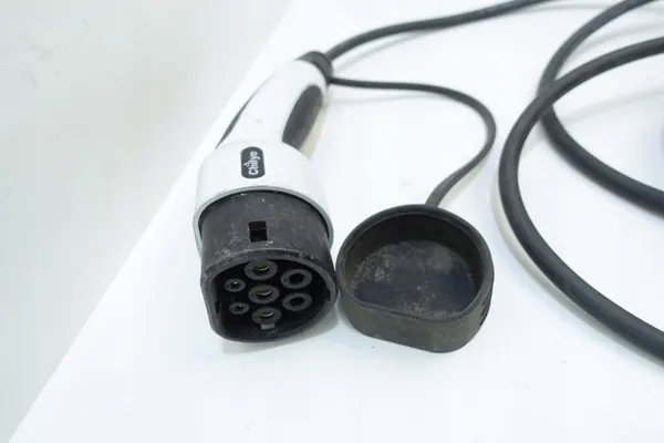 OEM C00061175 13A 250V Maxus laadkabel image 4