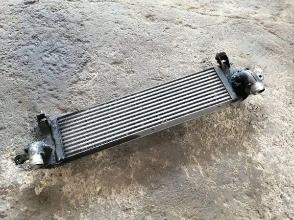 Nissan Qashqai J10 2.0 DCI Intercooler OEM 14461-JD50A image 2
