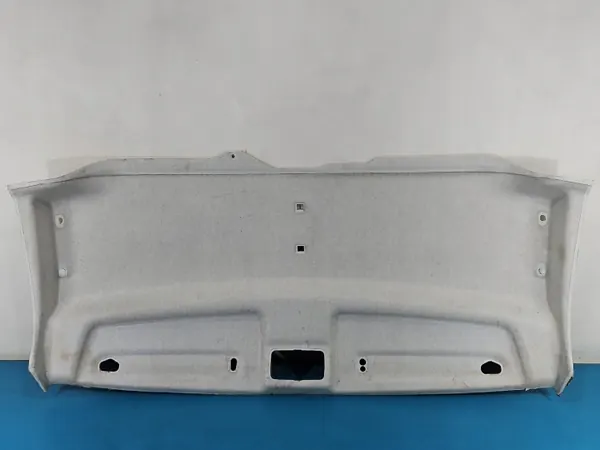 Plafonnier Fiat Ducato IV OEM IMPRK1546974, 07355360040 image 2