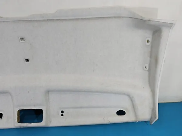 Plafonnier Fiat Ducato IV OEM IMPRK1546974, 07355360040 image 4