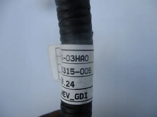 Bränsleskena 1.6 GDI Hyundai Ioniq Kia Niro image 4