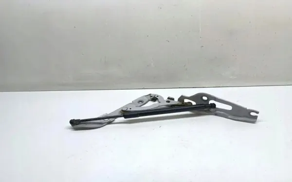 BMW OEM 7166752 Höger bagageluckgångjärn Vit image 2