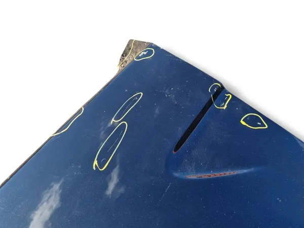 Parafango anteriore sinistro BMW X5 E53 2002 image 7