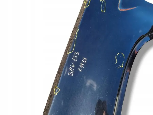 Parafango anteriore sinistro BMW X5 E53 2002 image 9