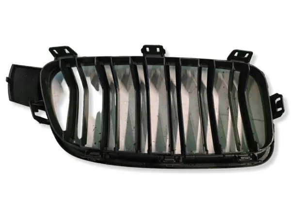 BMW F30 Grille Radiateur Rein Gauche OEM image 4