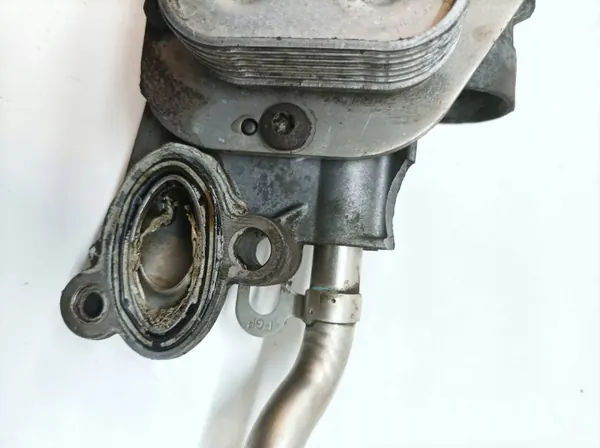 Olie filterhuis 55355603 1.8 16V Opel Zafira II image 5