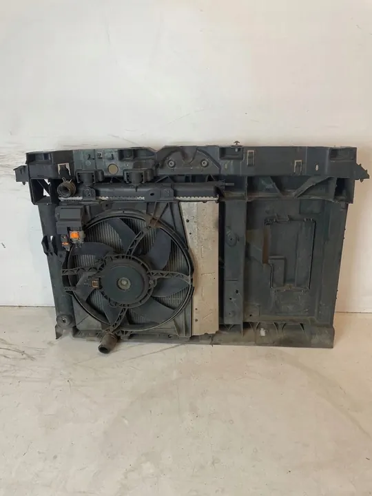 Gruppo Anteriore Ventola Radiatore Citroen C3 II Peugeot 208 image 10