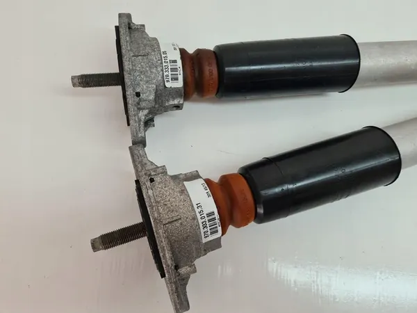 Amortizzatore posteriore Porsche Panamera 97033316111 image 3