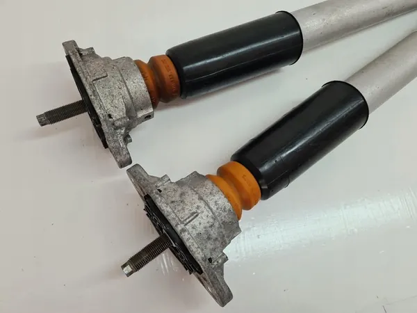 Amortizzatore posteriore Porsche Panamera 97033316111 image 8