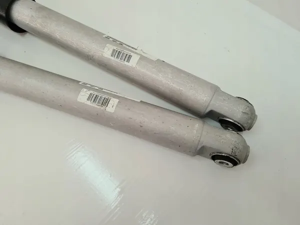 Amortizzatore posteriore Porsche Panamera 97033316111 image 9