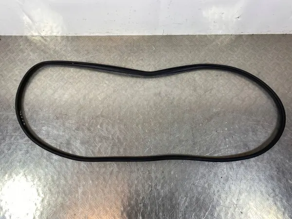 2023 Suzuki SX4 S-Cross Rear Door Seal FOB49625 image 2