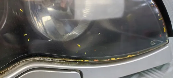 Farol dianteiro direito Xenon BMW 3 E46 LIFT image 3