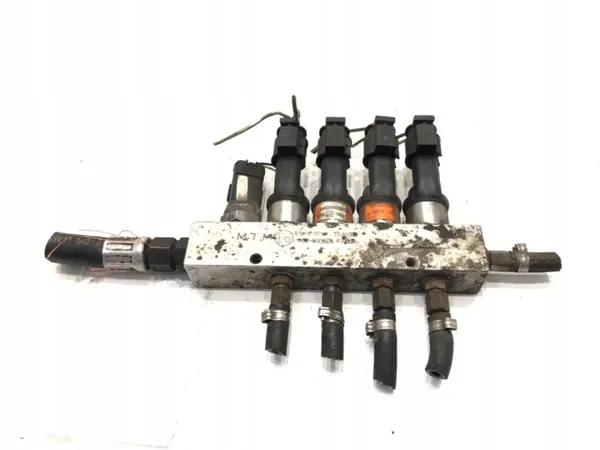 Inyector GLP OEM 09SQ9 - Sistema de inyección gas image 2