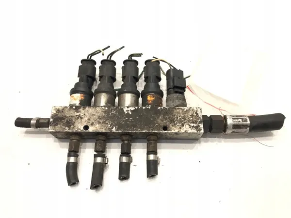 Inyector GLP OEM 09SQ9 - Sistema de inyección gas image 3