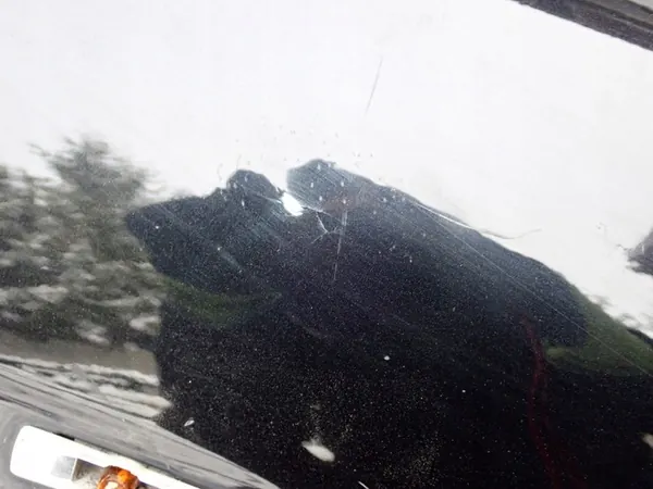 Parafango Anteriore Destro BMW 7 Serie E65 E66 LCI 2005-2008 OEM image 4