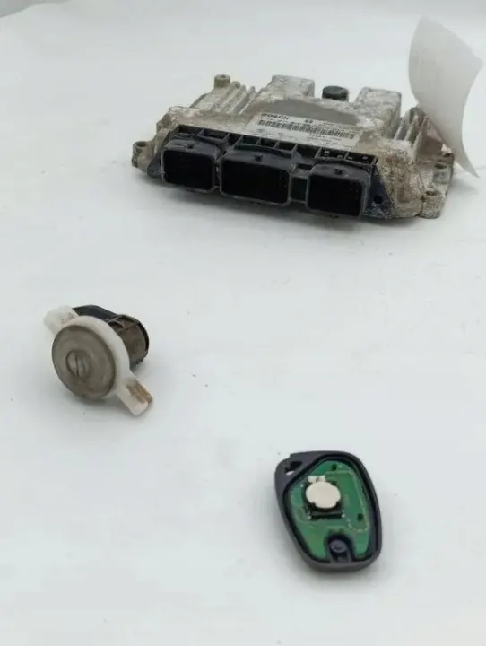 Kit d'allumage OEM 1039S07296 pour Renault Master III image 2