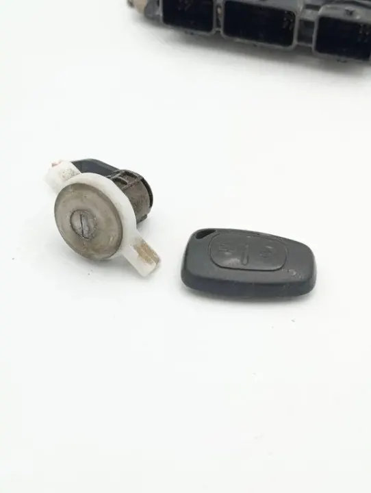 Kit d'allumage OEM 1039S07296 pour Renault Master III image 7