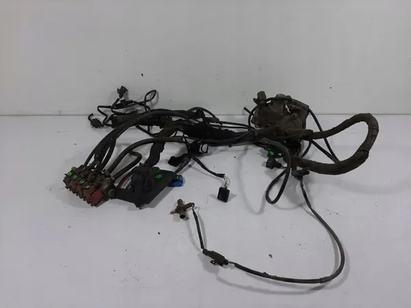 Kit LPG Stag OEM 10R-036616 - 4 Cilindros Básico image 2