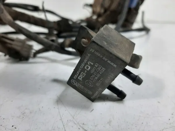 Kit LPG Stag OEM 10R-036616 - 4 Cilindros Básico image 9