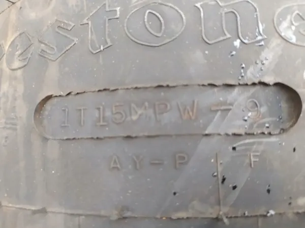 Mola pneumática VDL Weweler Firestone OEM 1234567 image 3