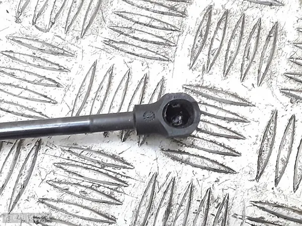 Supports de hayon arrière Renault Captur 2021 700021056580 image 3