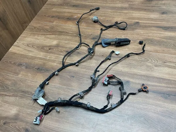 Faisceau Porte OEM M8A214630DB Droit Avant image 3