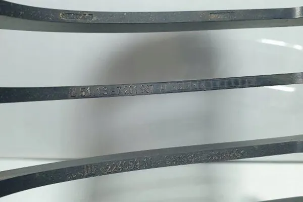 Griglia BMW 3 (E90) 2009 image 3