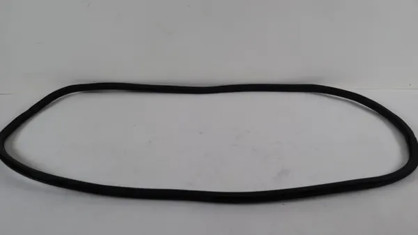 Joint de Porte OEM 1173331224 Jeep Compass II Gauche Avant image 5
