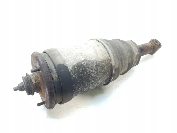 Land Rover Luftfederung Stoßdämpfer OEM 22241481 Hinterachse image 4