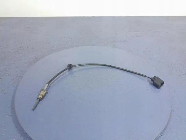 Sensor Temperatura Escape Ford OE OEM Lochow-316007- image 2