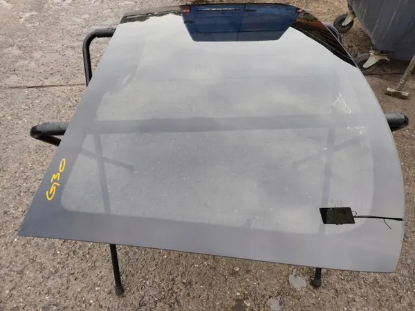 Ventana trasera tintada BMW G30 OEM RCD24264 image 3