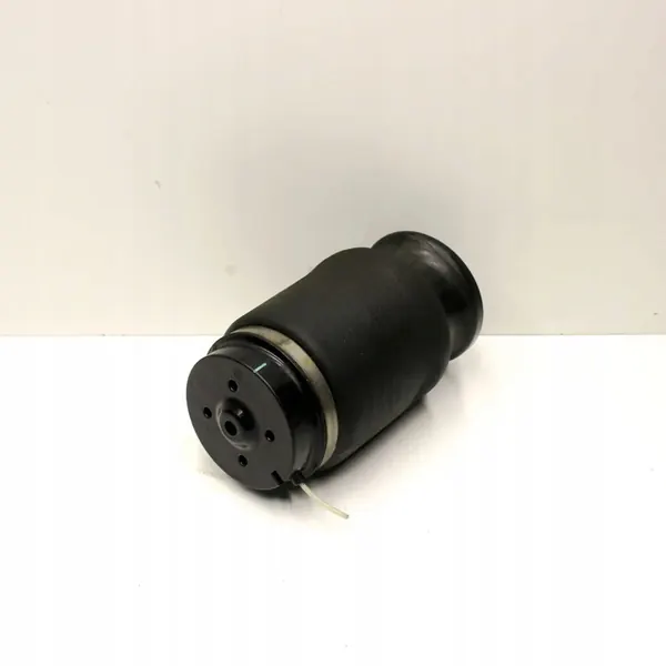 Sac de Suspension Pneumatique Arrière Mercedes-Benz GL X166 OEM R310716401 image 3
