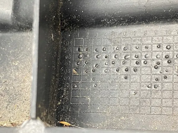 Deslizamento do para-choque dianteiro direito Nissan Navara D40 62222EB31A image 4