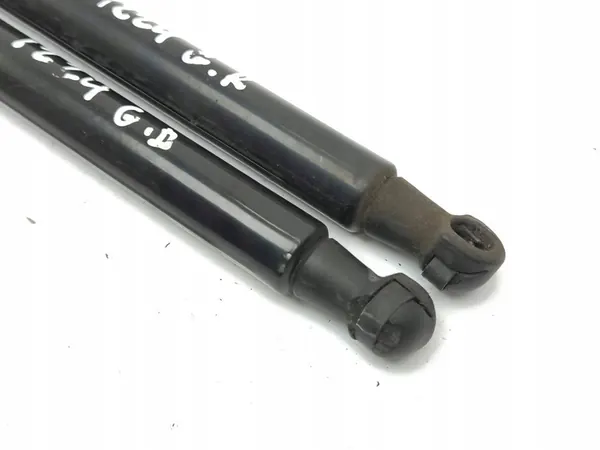 Renault Megane IV 2018 Bakluck Dämpare image 2