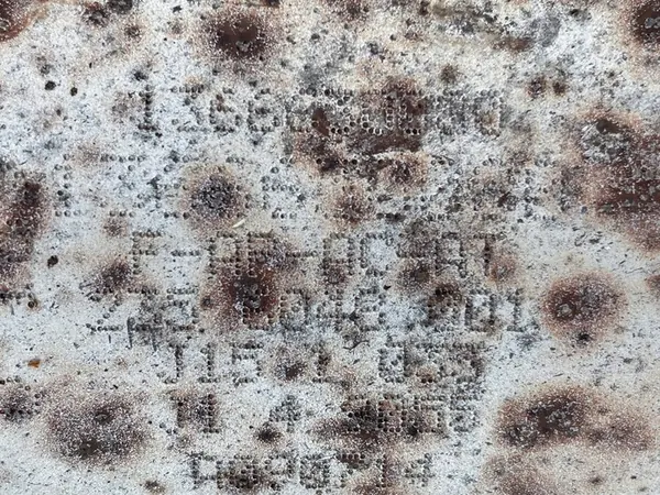 CATALISADOR DPF BOXER DUCATO JUMPER 2.2 HDI 1366630080 image 4