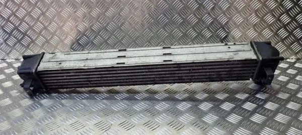 Intercooler OEM 144960006R para Renault Scenic III image 5