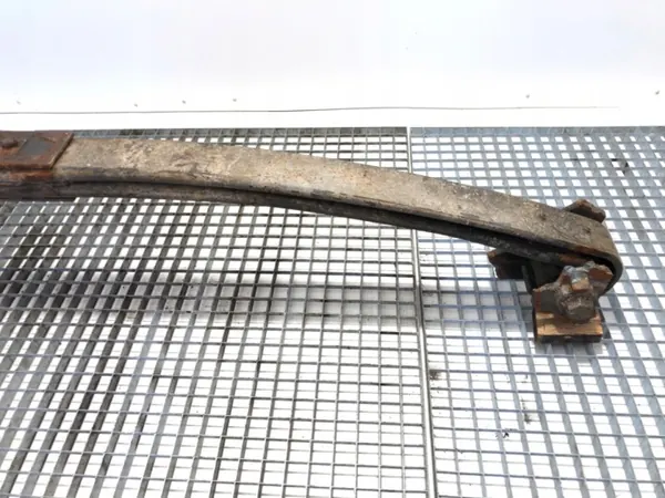 DAF Etu vasen lehtijousi OEM LORK-717-1000016426 image 6