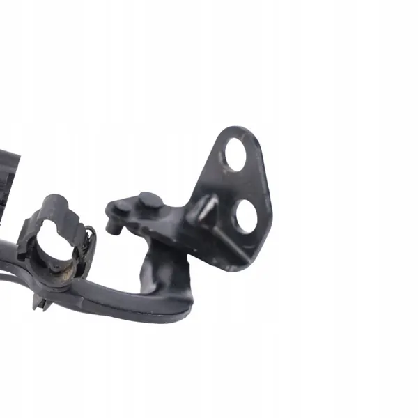 Range Rover Evoque L538 Bagageluckfäll Vänster OEM BJ32-42901-D36XA image 8